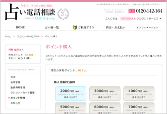 購入金額とお支払い方法をご指定してください